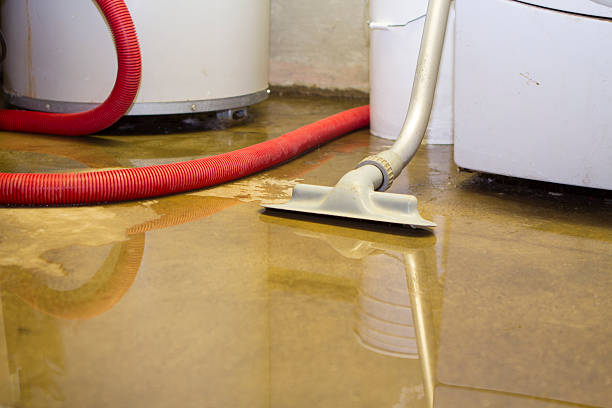 Best Basement water damage restoration  in Xtang, PA