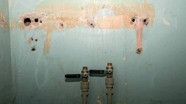 Best Water damage cleanup near me  in Xtang, PA